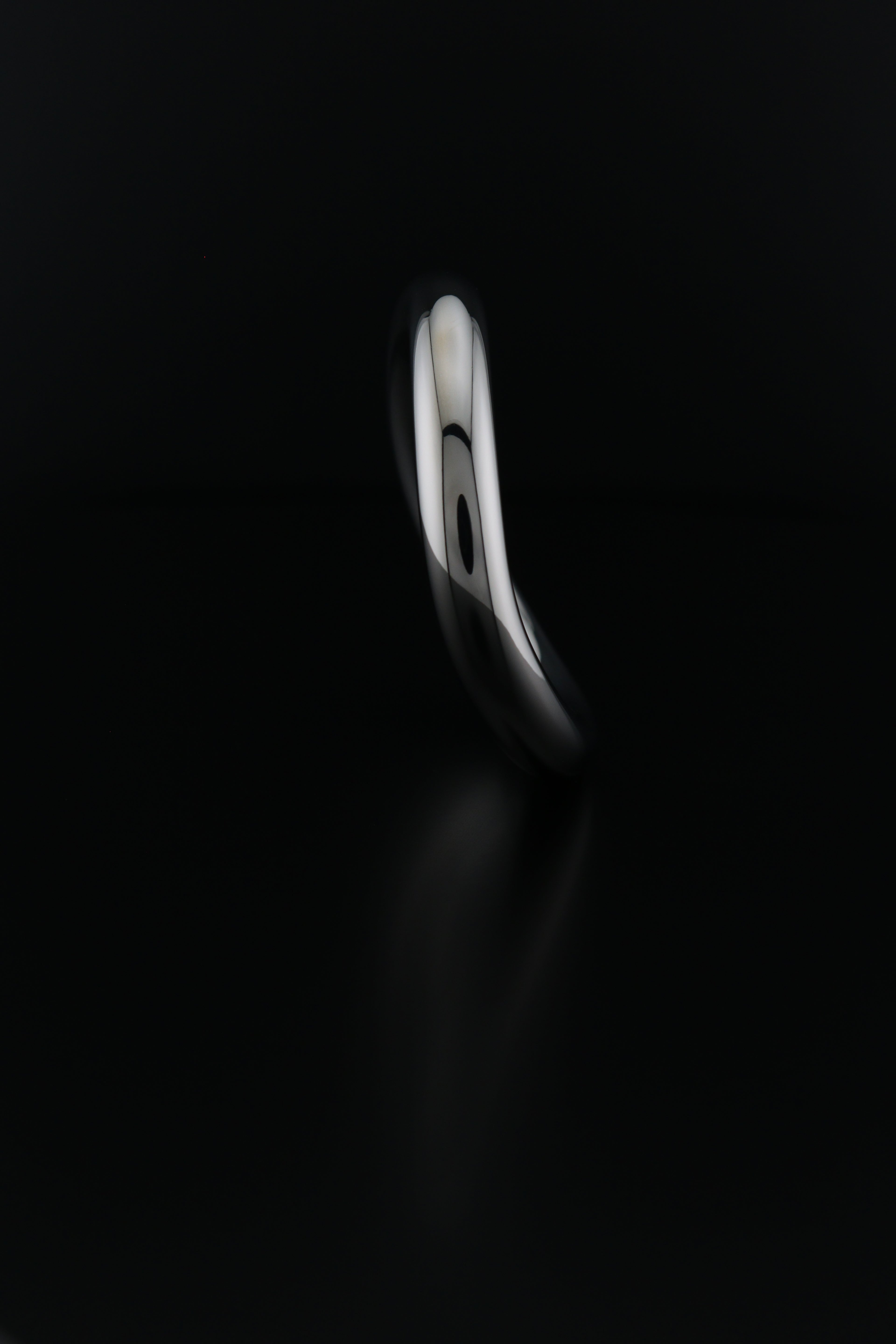 VRLTi Halo Titanium Torso Ring